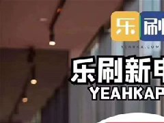 樂刷是正規(guī)牌照嗎？